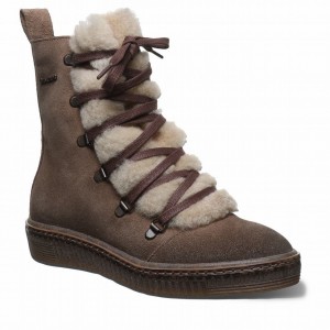 Bearpaw Celeste Laarzen Dames Beige | LID6237TT