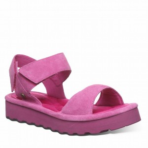 Bearpaw Crest Sandalen Dames Paars | WUJ9544ZA