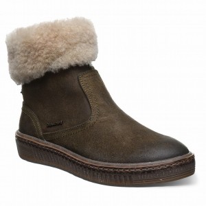 Bearpaw Leticia Laarzen Dames Groen | ZJZ4871HL