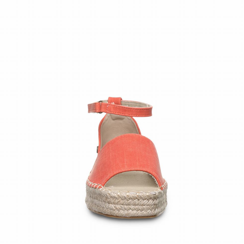 Bearpaw Affogato Sandalen Dames Roze | LGT2624UN