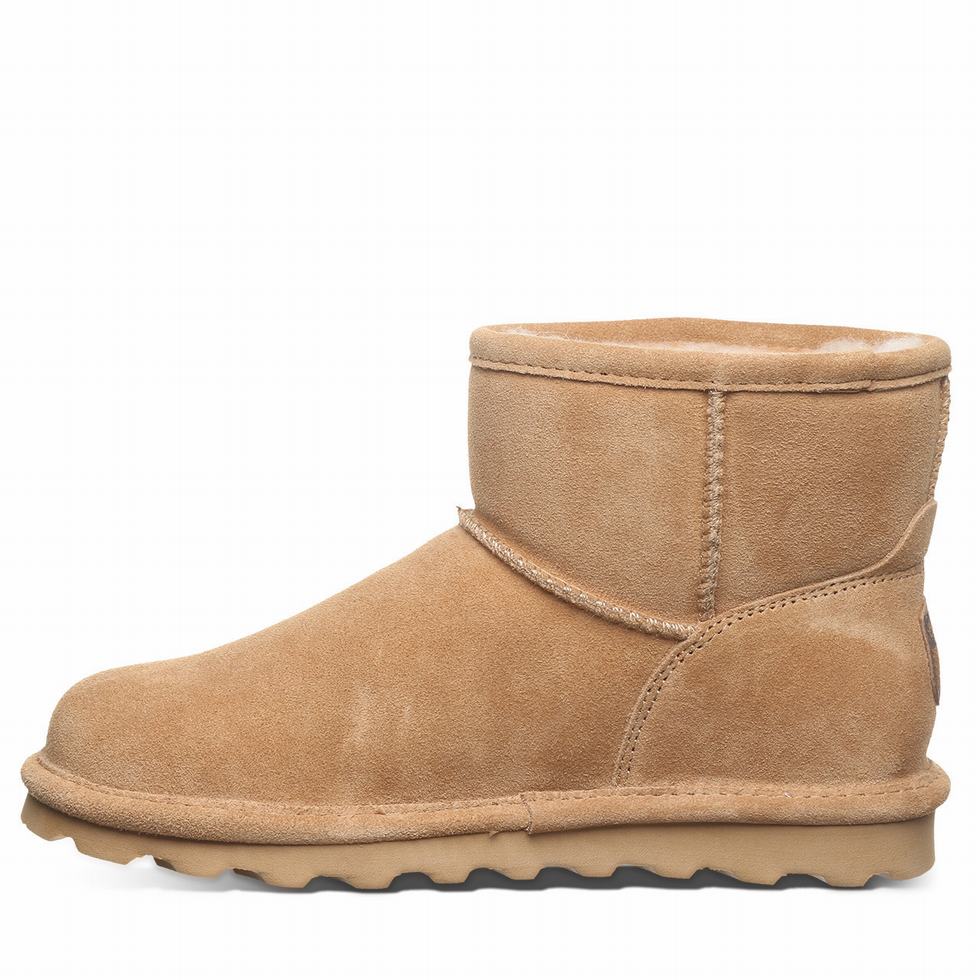 Bearpaw Alyssa Laarzen Dames Bruin | BUV7036DX