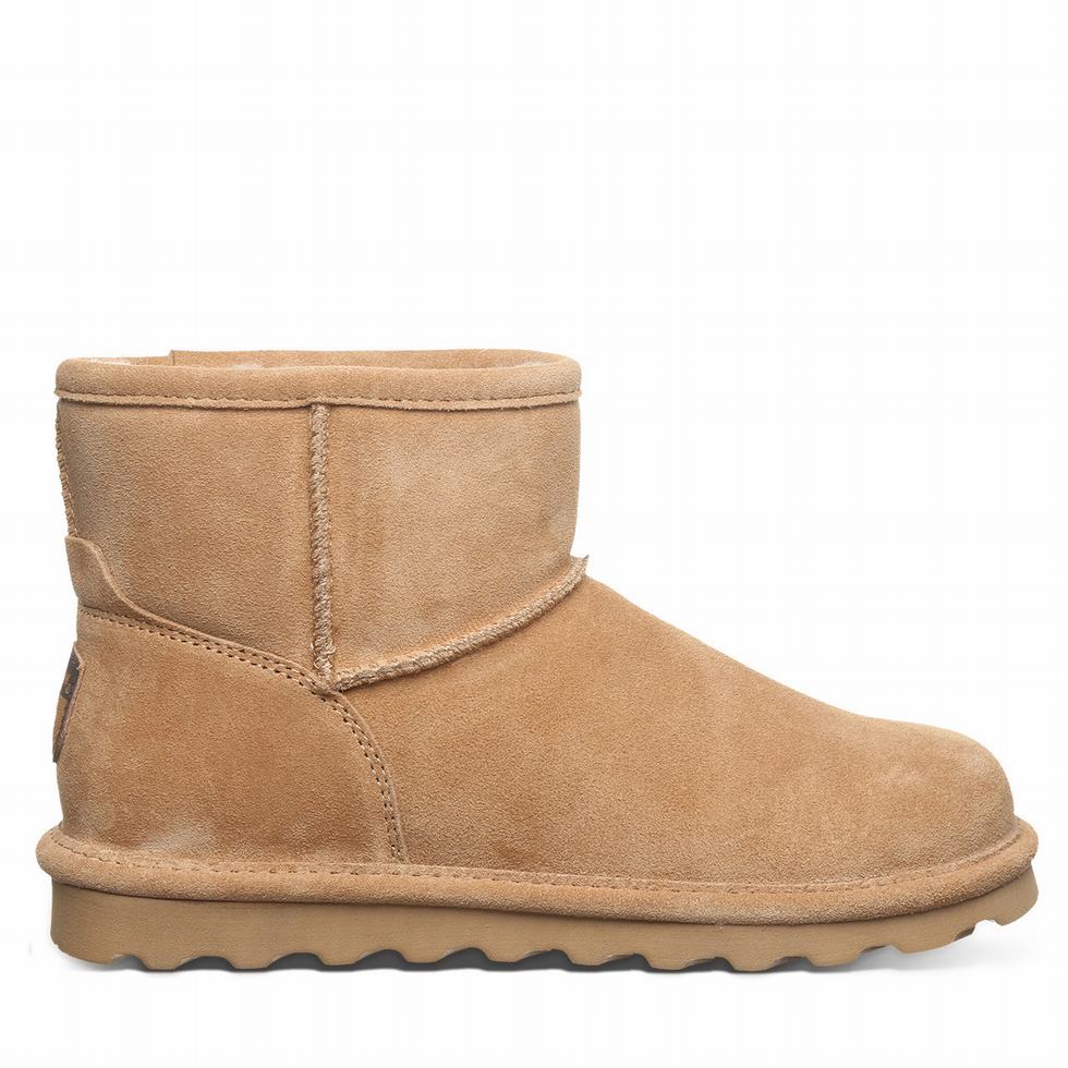 Bearpaw Alyssa Laarzen Dames Bruin | BUV7036DX