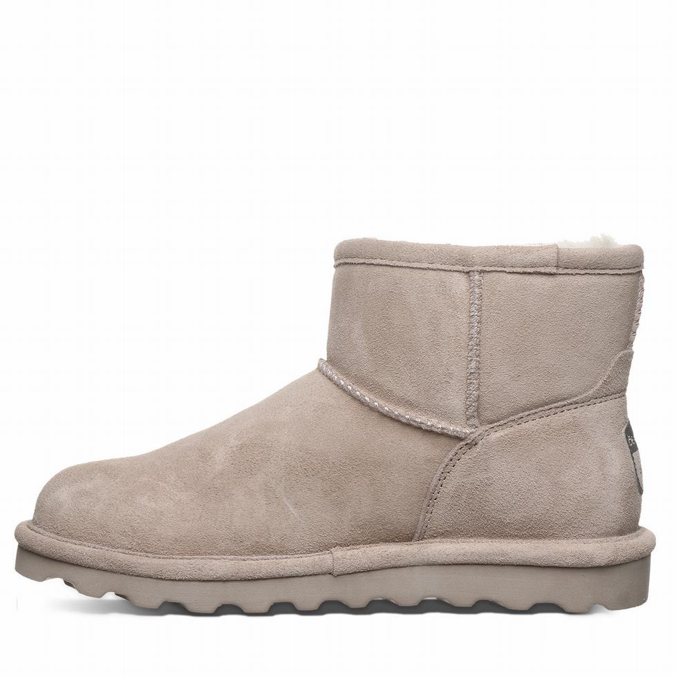 Bearpaw Alyssa Laarzen Dames Bruin | NPQ9147OS