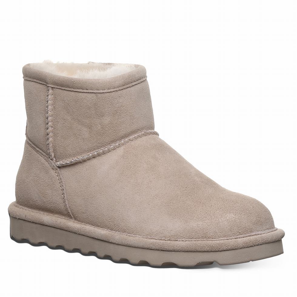 Bearpaw Alyssa Laarzen Dames Bruin | NPQ9147OS