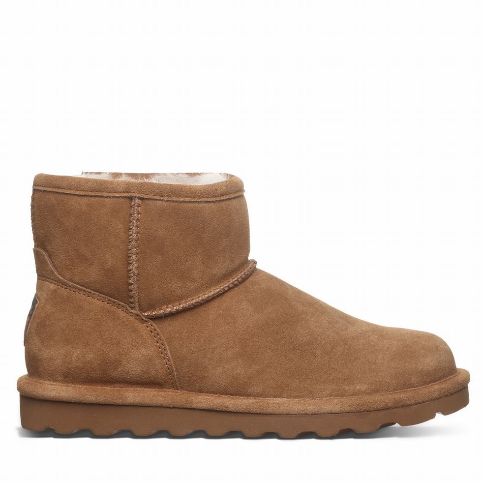 Bearpaw Alyssa Laarzen Dames Bruin | ROO6444LB