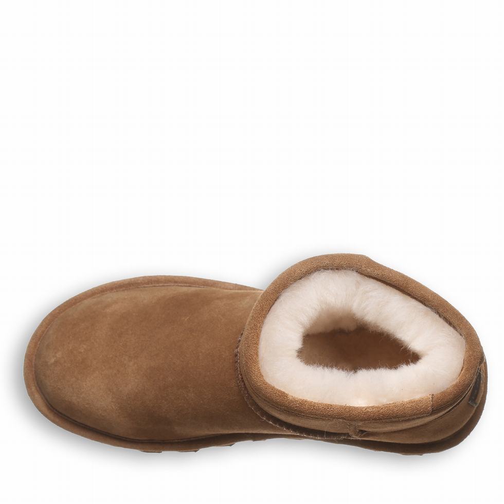 Bearpaw Alyssa Laarzen Dames Bruin | ROO6444LB