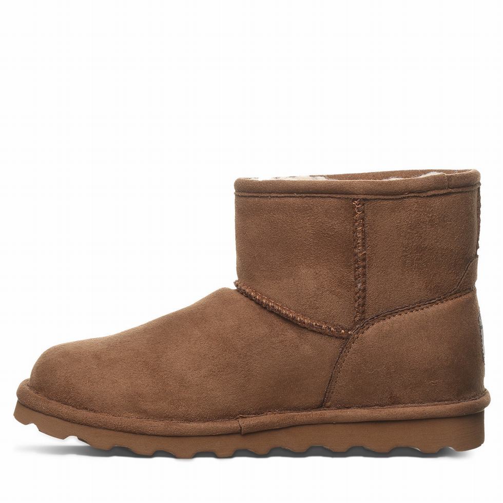 Bearpaw Alyssa Vegan Laarzen Dames Bruin | LPP6883PY