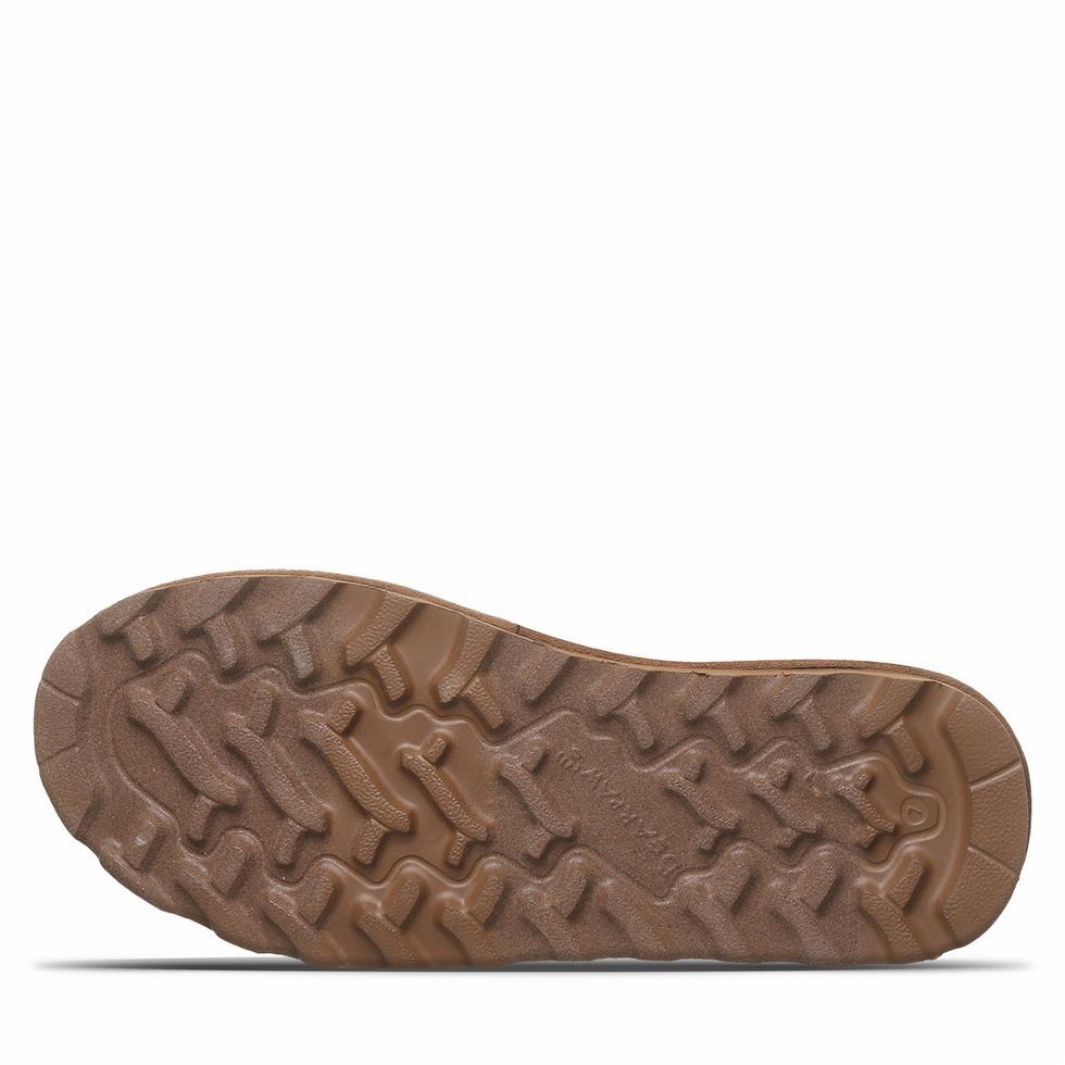 Bearpaw Alyssa Vegan Laarzen Dames Bruin | LPP6883PY