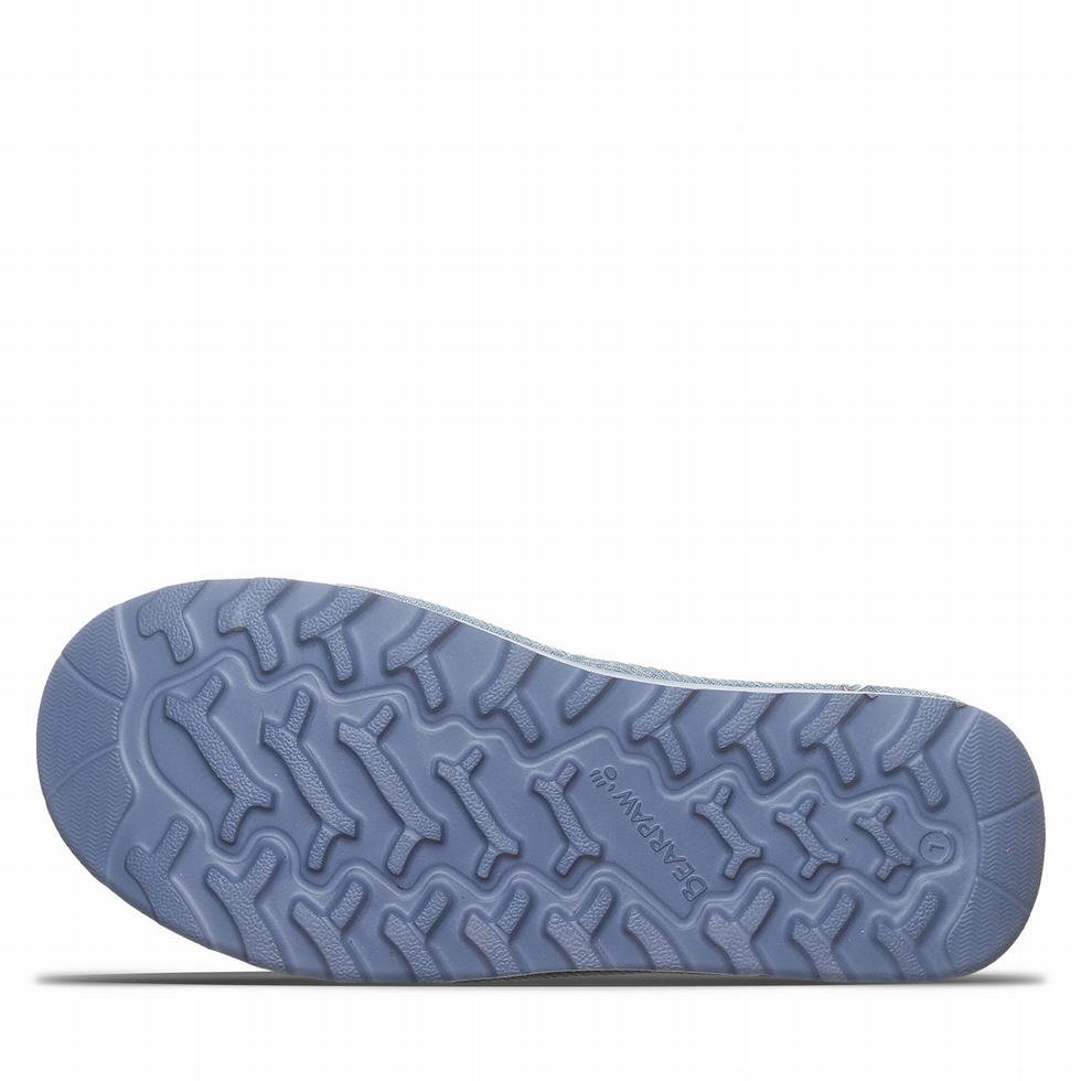 Bearpaw Ascend Sandalen Dames Blauw | XWE3058BD