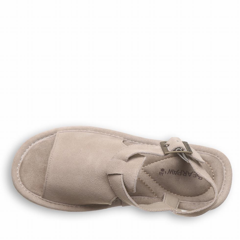 Bearpaw Ascend Sandalen Dames Grijs | QKW8656YK