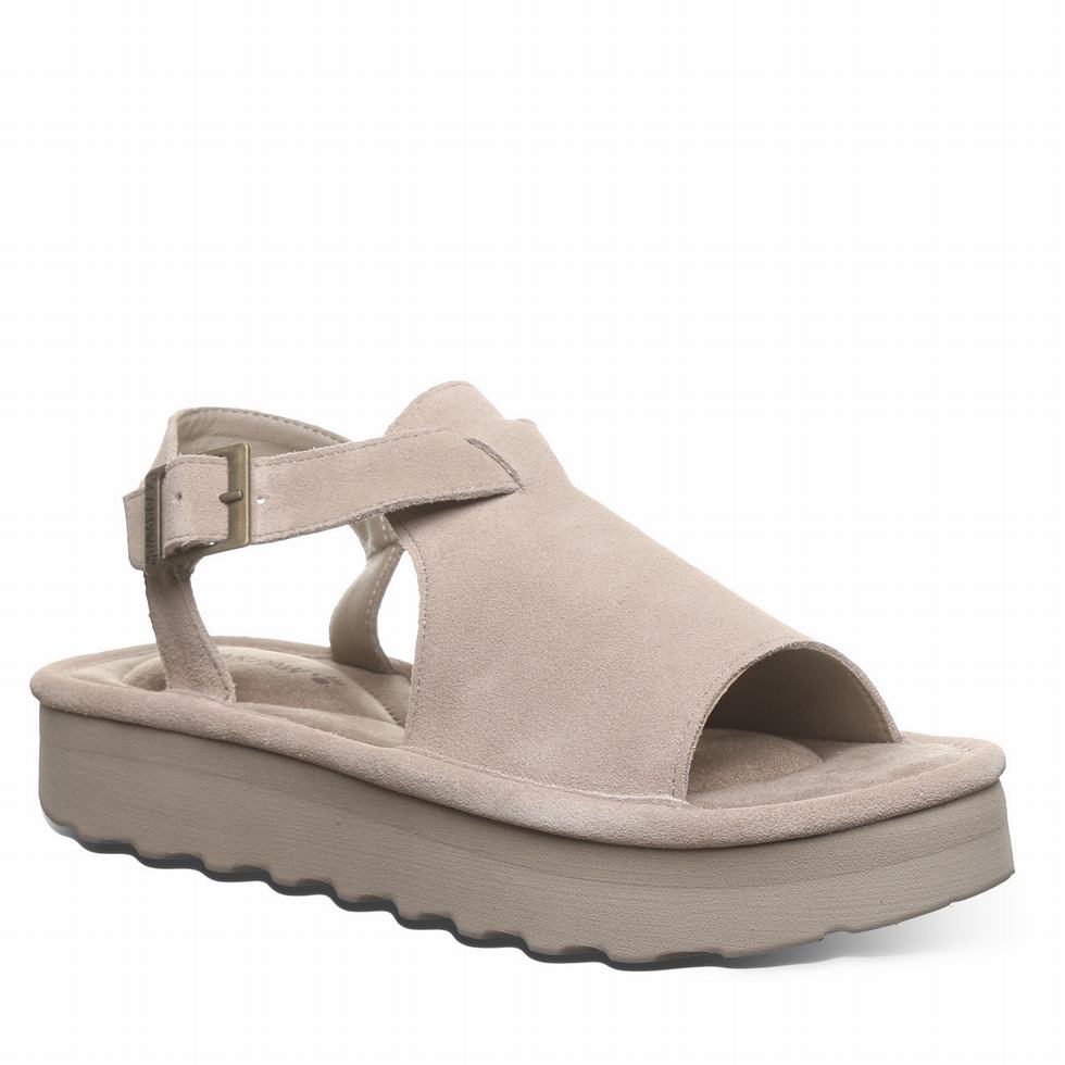 Bearpaw Ascend Sandalen Dames Grijs | QKW8656YK