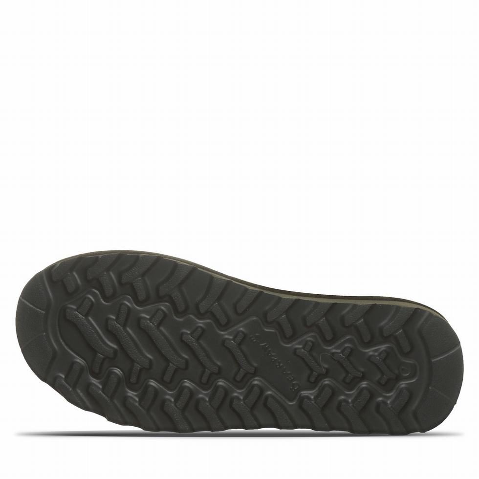 Bearpaw Aurelia Laarzen Dames Groen | REB2669ID