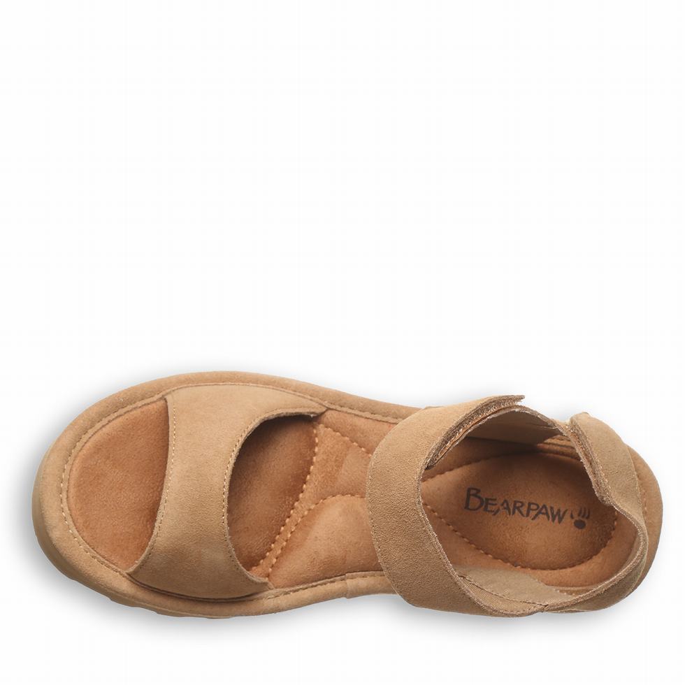 Bearpaw Crest Sandalen Dames Bruin | DQJ3291CH