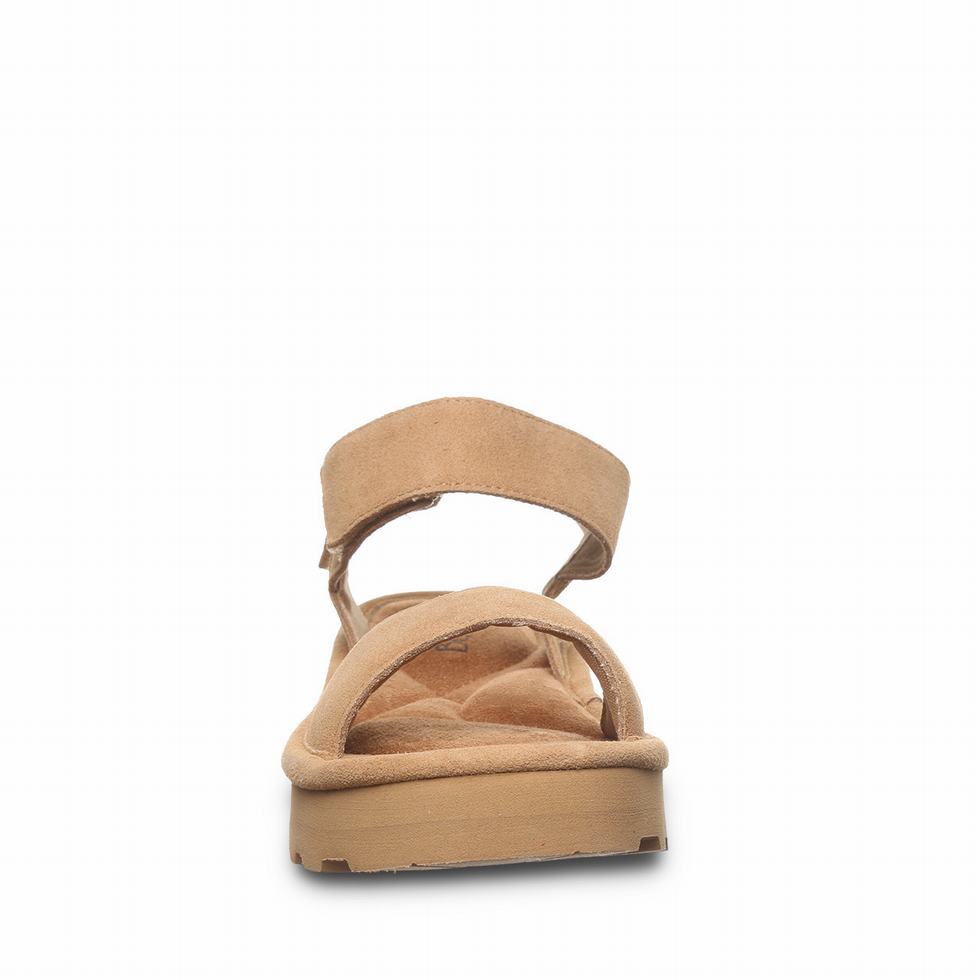 Bearpaw Crest Sandalen Dames Bruin | DQJ3291CH