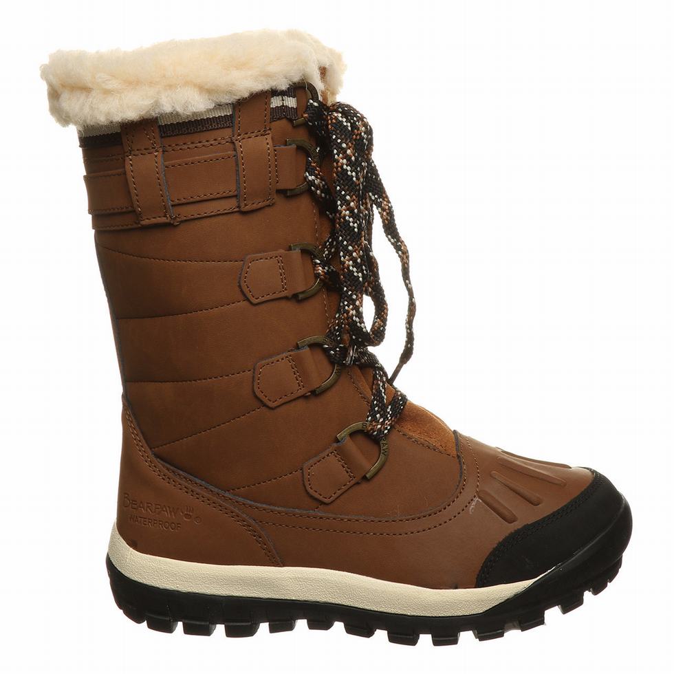 Bearpaw Desdemona Wandellaarzen Dames Bruin | LWJ5291NU