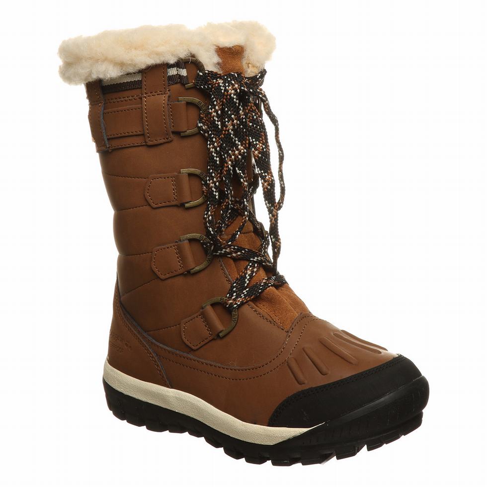 Bearpaw Desdemona Wandellaarzen Dames Bruin | LWJ5291NU