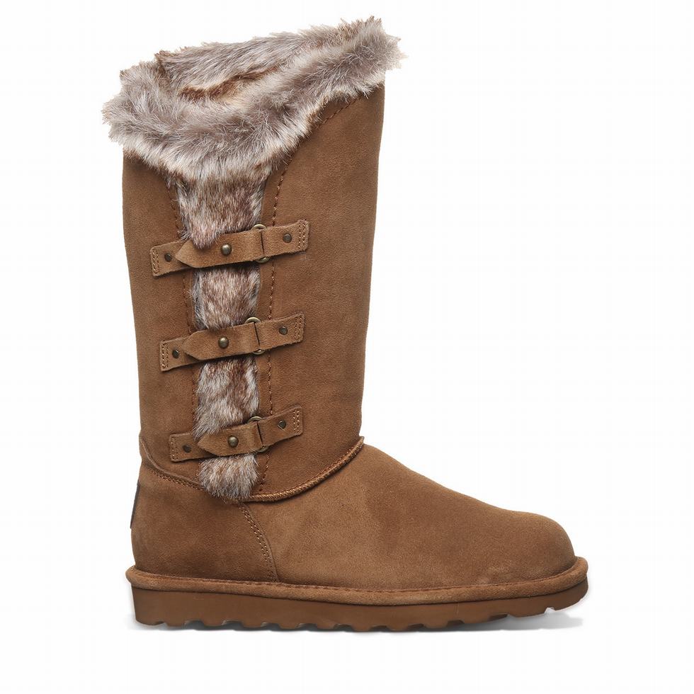 Bearpaw Emery Laarzen Dames Bruin | JJW2360YQ