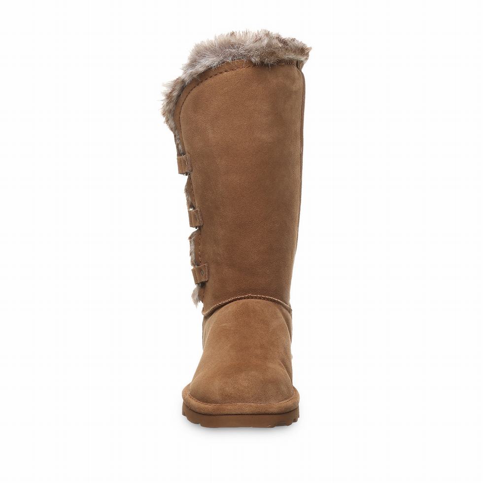 Bearpaw Emery Laarzen Dames Bruin | JJW2360YQ