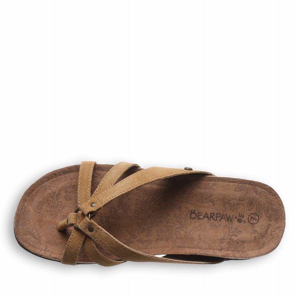 Bearpaw Fawn Sandalen Dames Bruin | RLS10025OQ