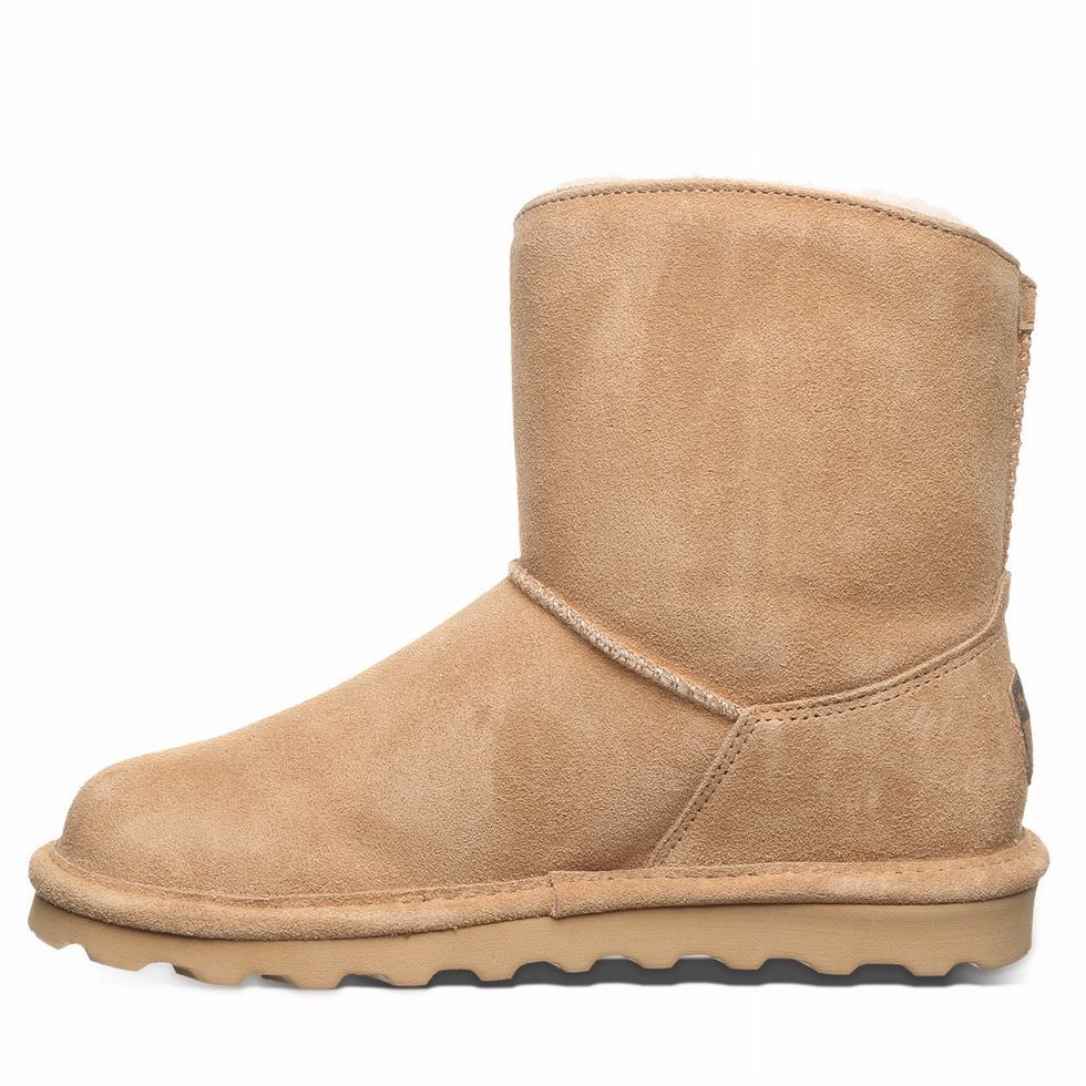 Bearpaw Isabelle Laarzen Dames Bruin | KMV6892FH