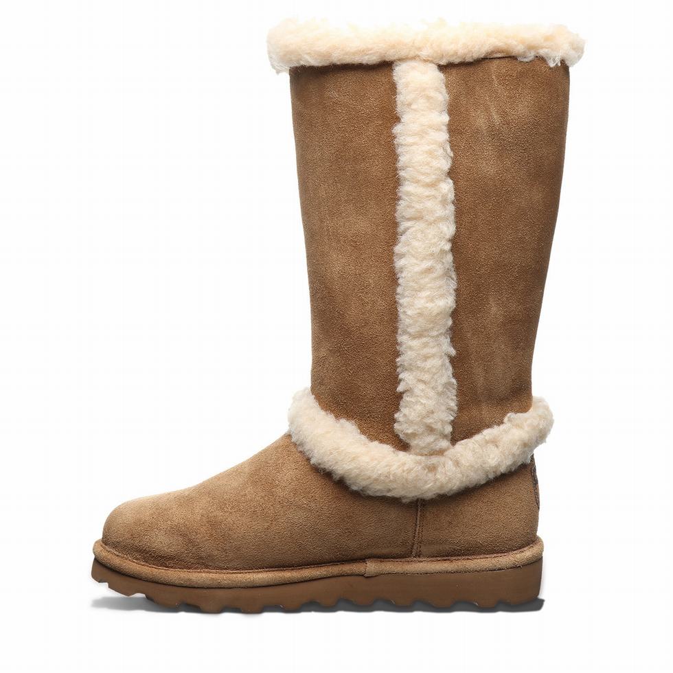 Bearpaw Kendall Laarzen Dames Bruin | EIM6571TZ