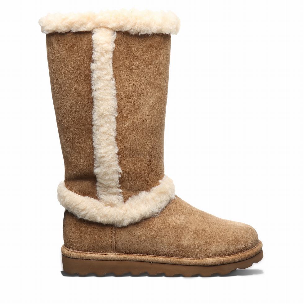 Bearpaw Kendall Laarzen Dames Bruin | EIM6571TZ