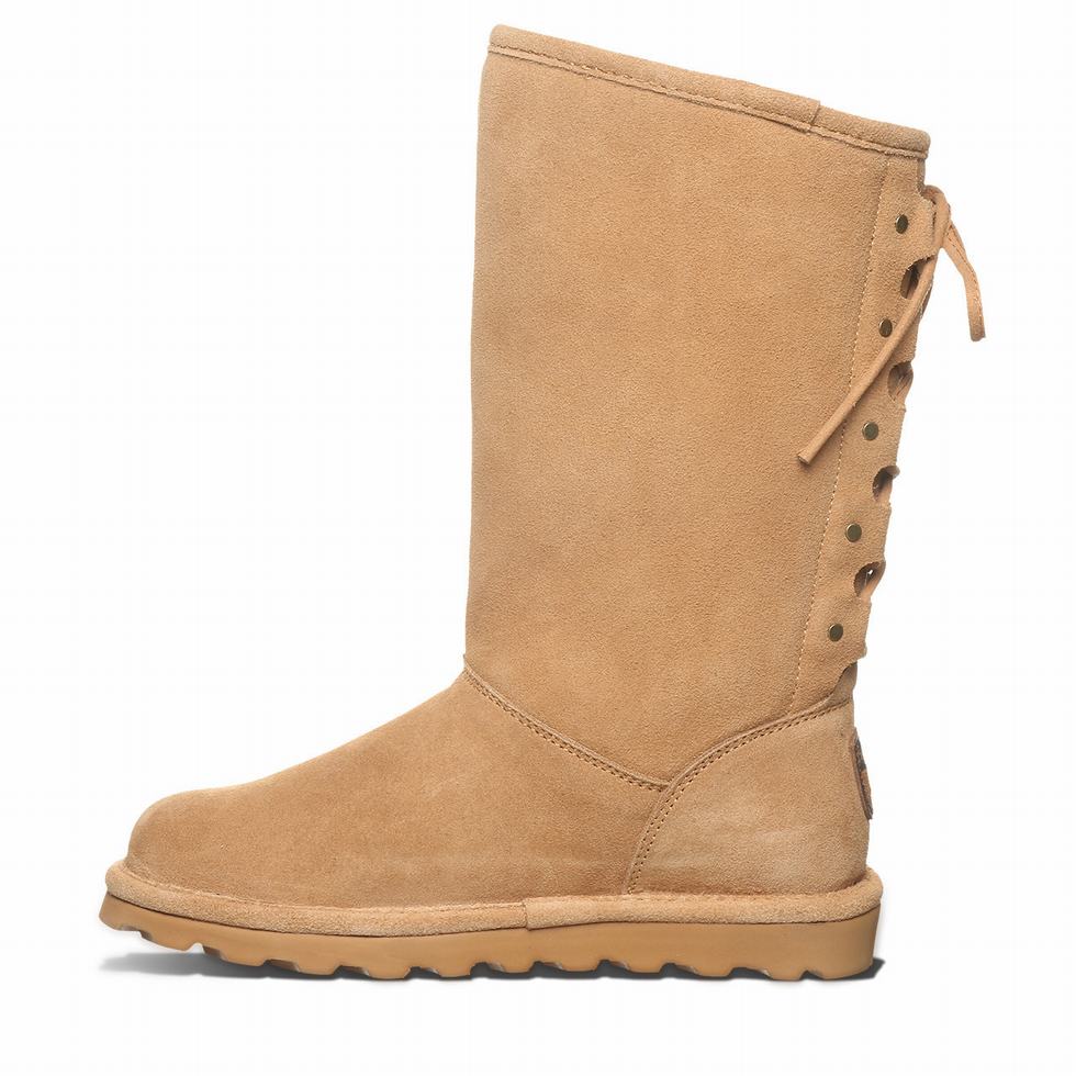 Bearpaw Lydia II Laarzen Dames Bruin | MNU2363IJ