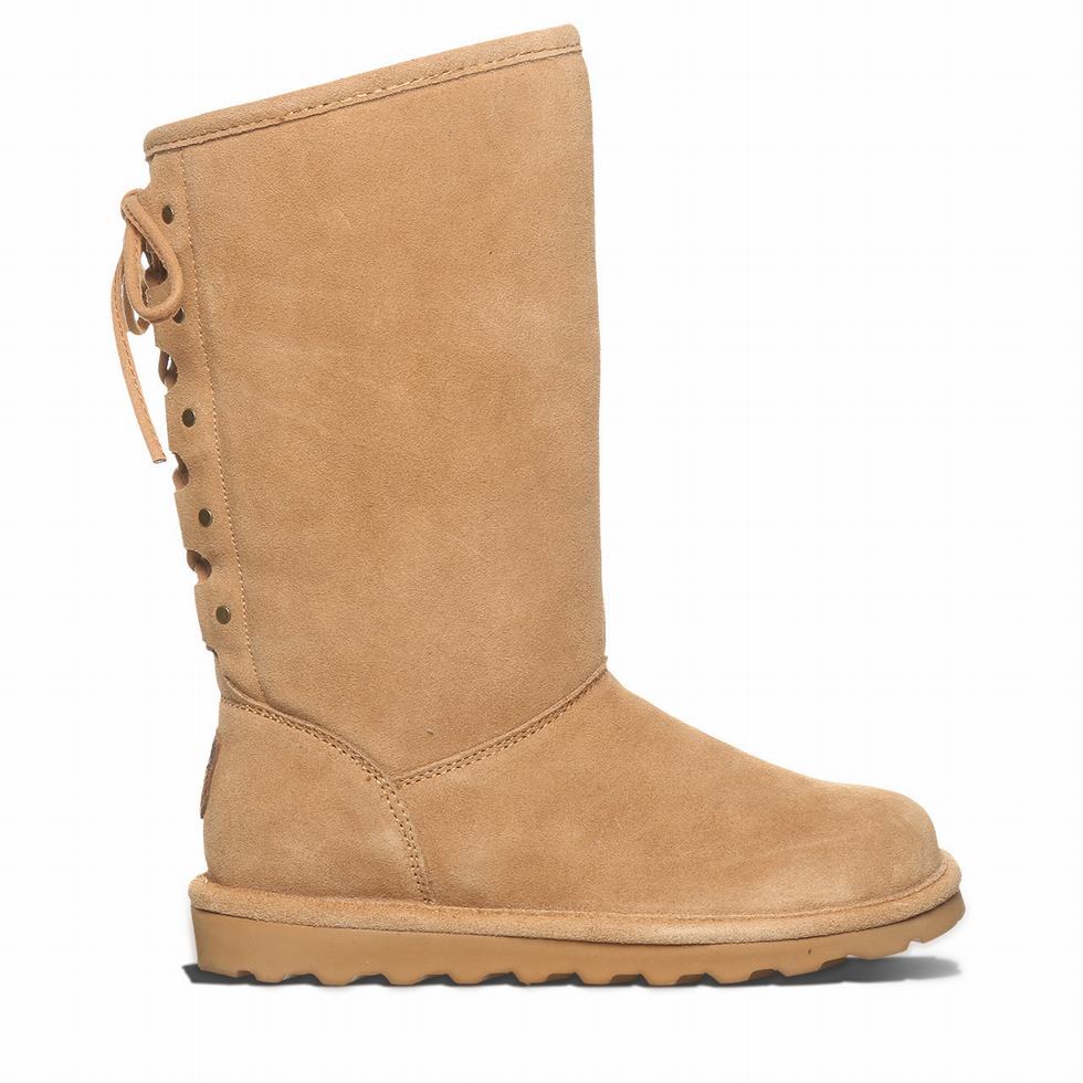 Bearpaw Lydia II Laarzen Dames Bruin | MNU2363IJ