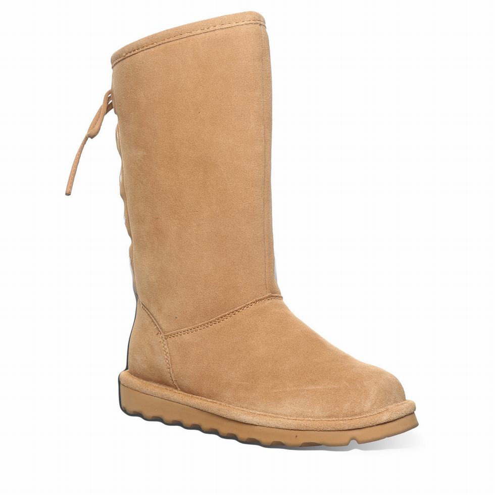 Bearpaw Lydia II Laarzen Dames Bruin | MNU2363IJ