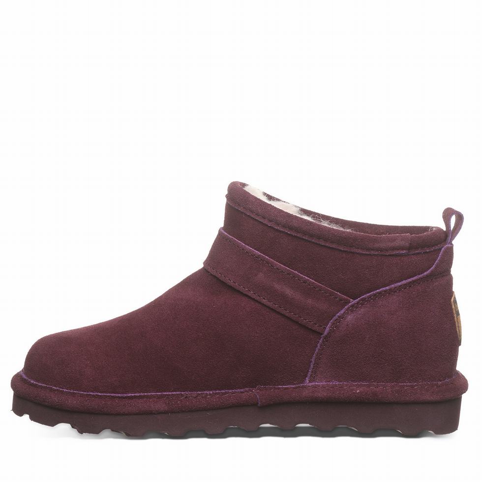 Bearpaw Petite Laarzen Dames Paars | GOL9423TU