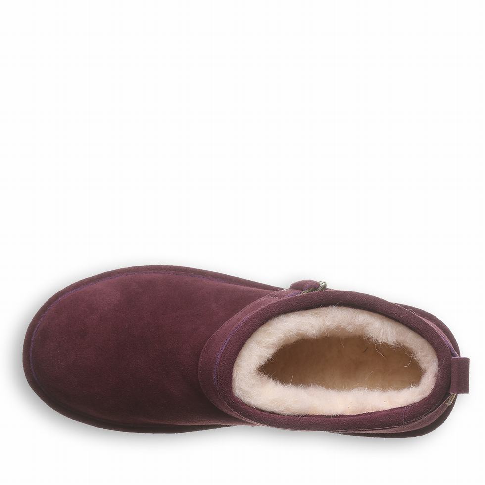 Bearpaw Petite Laarzen Dames Paars | GOL9423TU