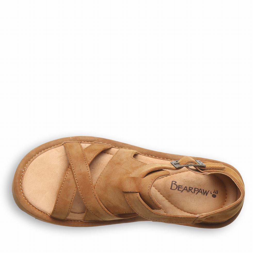 Bearpaw Pinnacle Sandalen Dames Bruin | QJJ5110JT