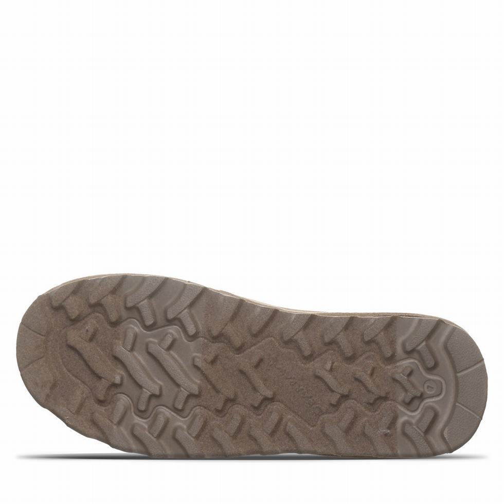 Bearpaw Shorty Vegan Laarzen Dames Grijs | GKC702VU