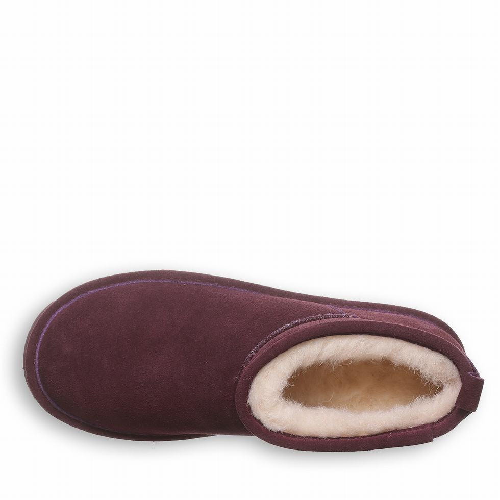 Bearpaw Super Shorty Sneeuwlaarzen Dames Paars | XTI351WJ