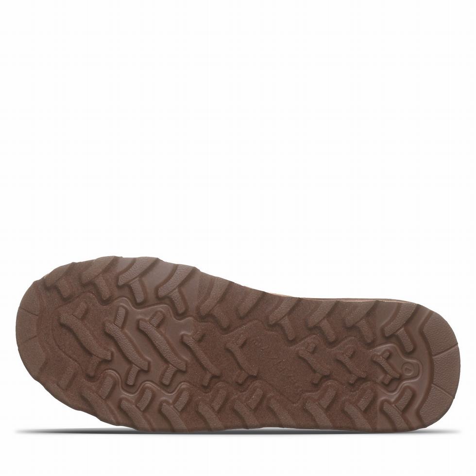 Bearpaw Super Shorty Vegan Laarzen Dames Bruin | MNR3512FT