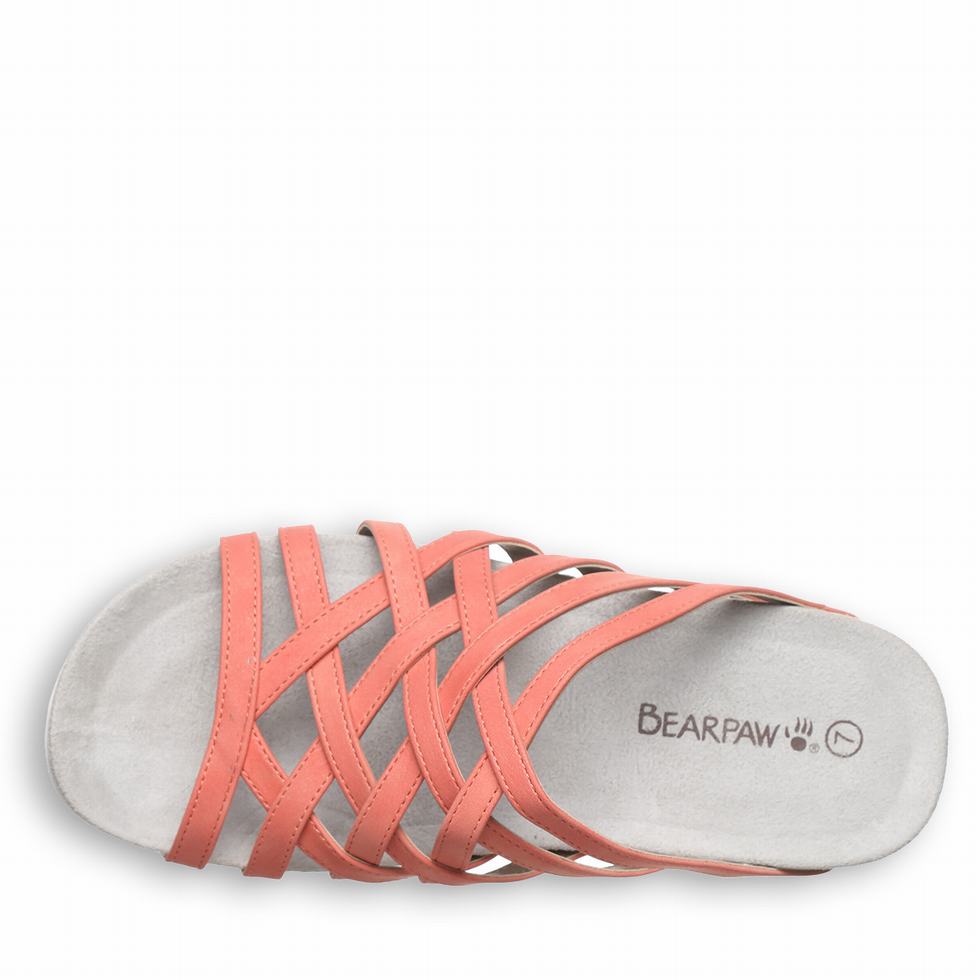 Bearpaw Zinnia Sandalen Dames Roze | YJJ10097WX