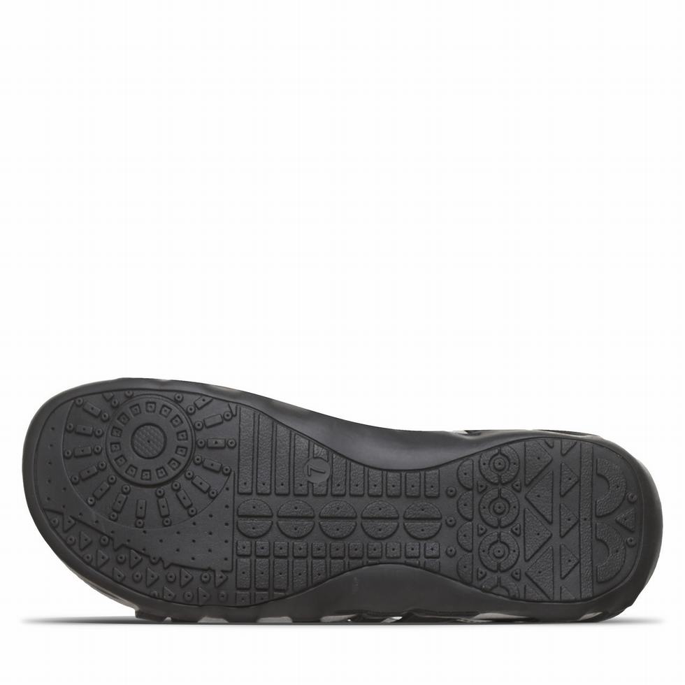 Bearpaw Zinnia Sandalen Dames Zwart | ZUS556ZN